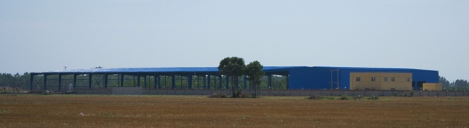 gao II 1