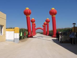 gao II start 3